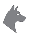 The Noble Beast